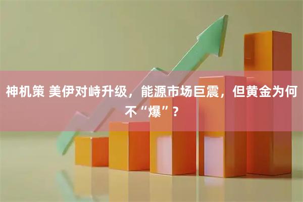 神机策 美伊对峙升级，能源市场巨震，但黄金为何不“爆”？