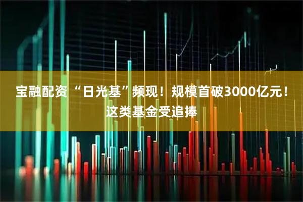 宝融配资 “日光基”频现！规模首破3000亿元！这类基金受追捧