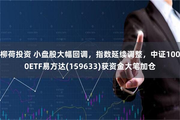 柳荷投资 小盘股大幅回调，指数延续调整，中证1000ETF易方达(159633)获资金大笔加仓