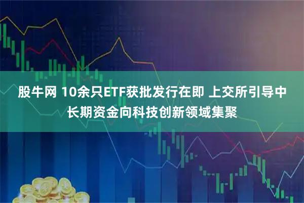 股牛网 10余只ETF获批发行在即 上交所引导中长期资金向科技创新领域集聚