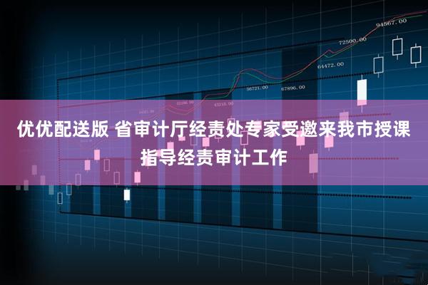 优优配送版 省审计厅经责处专家受邀来我市授课指导经责审计工作