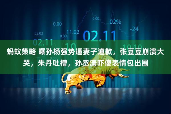 蚂蚁策略 曝孙杨强势逼妻子道歉，张豆豆崩溃大哭，朱丹吐槽，孙丞潇吓傻表情包出圈