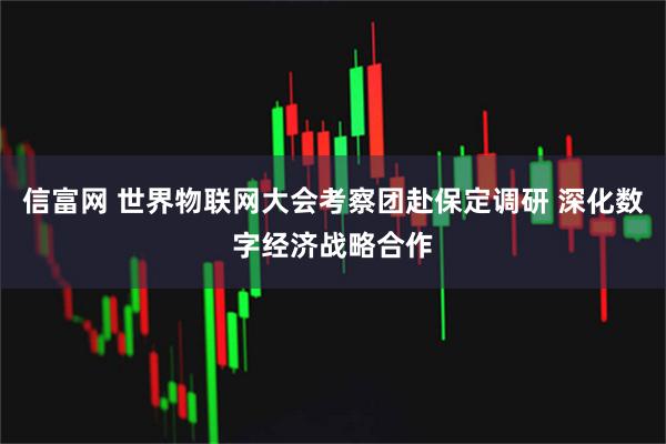 信富网 世界物联网大会考察团赴保定调研 深化数字经济战略合作
