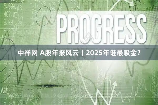 中祥网 A股年报风云丨2025年谁最吸金？