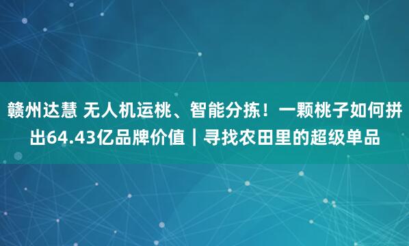赣州达慧 无人机运桃、智能分拣！一颗桃子如何拼出64.43亿品牌价值｜寻找农田里的超级单品